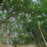 Iancului x Vatra Luminoasa x Maior Coravu, 5 min. Metrou Iancului